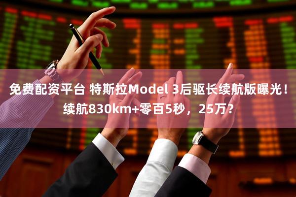 免费配资平台 特斯拉Model 3后驱长续航版曝光！续航830km+零百5秒，25万？